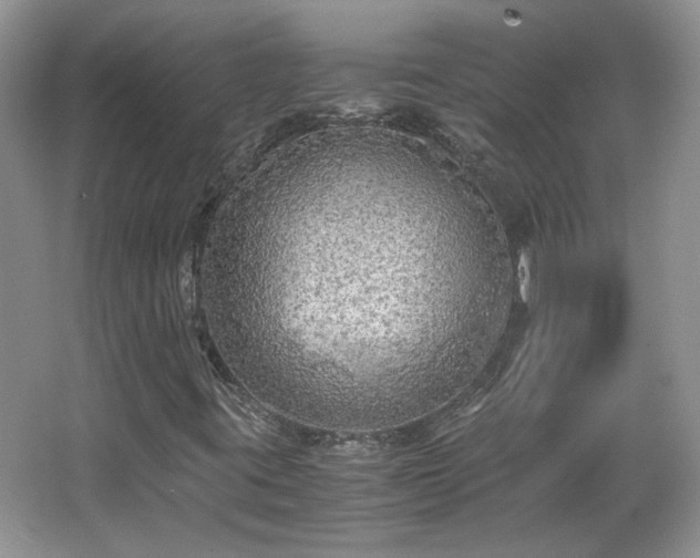 X0000065961395200603061138