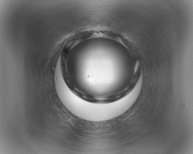 X0000065961398200603061138