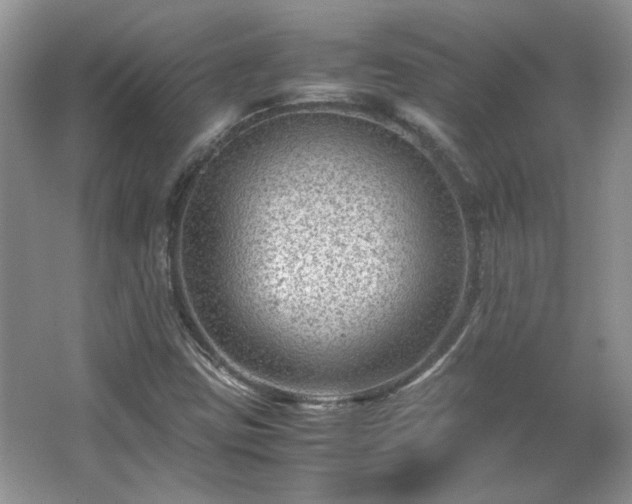 X0000065961403200603061138