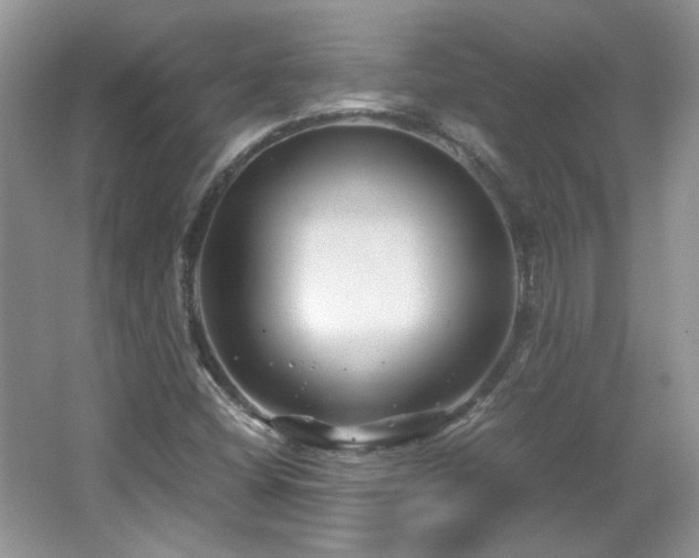 X0000065961404200603061138