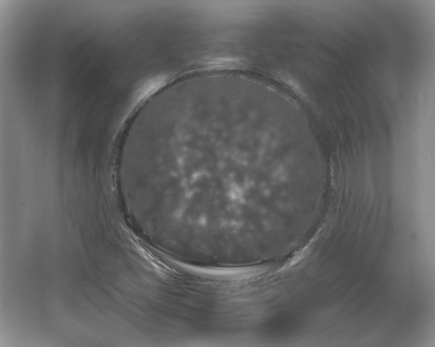X0000065961405200603061138