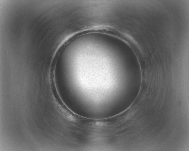 X0000065961412200603061138