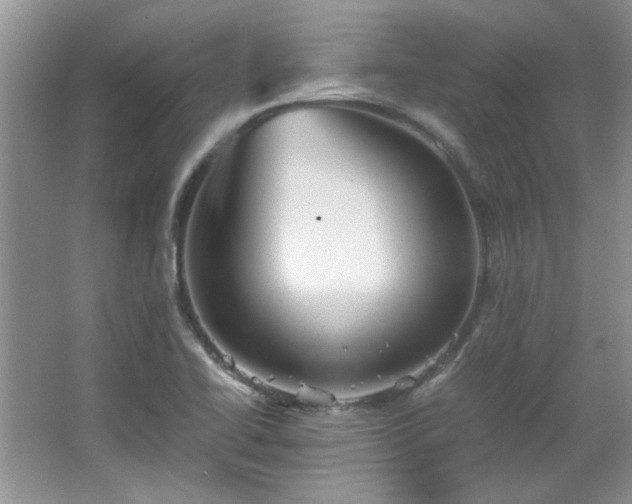X0000065961414200603061138