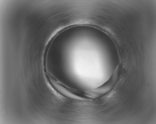 X0000065961422200603061139