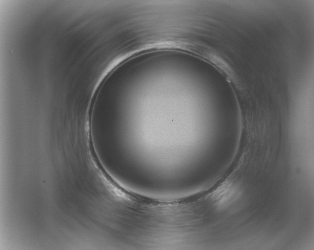 X0000065961428200603061139
