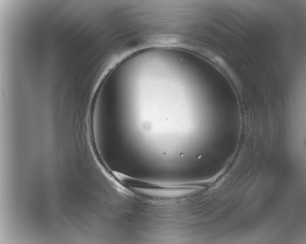 X0000065961432200603061139