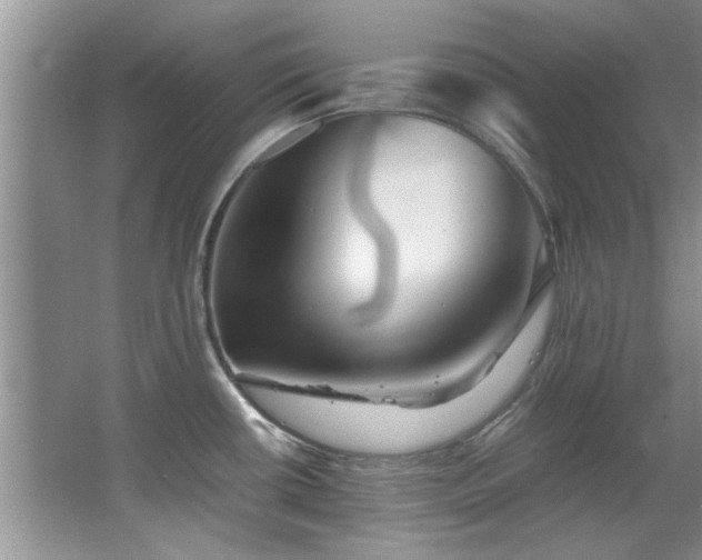 X0000065961434200603061139