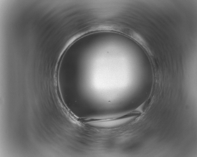 X0000065961436200603061139