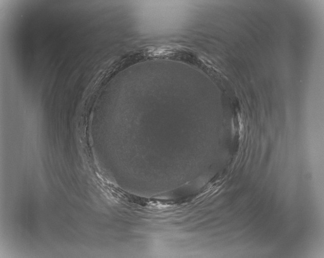 X0000065961441200603061138
