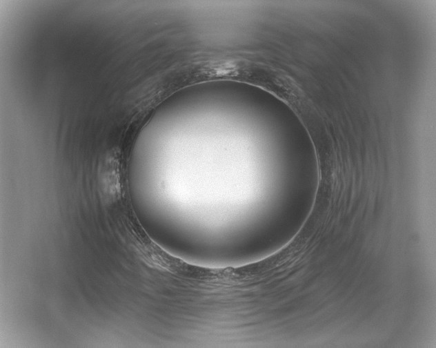 X0000065961442200603061138