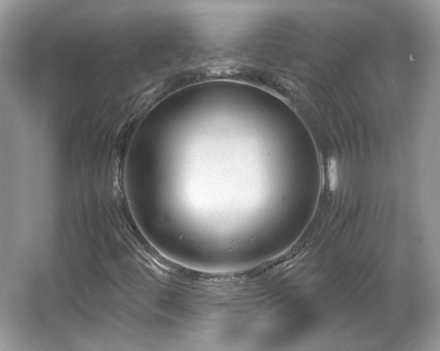 X0000065961444200603061138