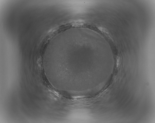 X0000065961445200603061138