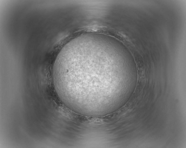 X0000065961446200603061138