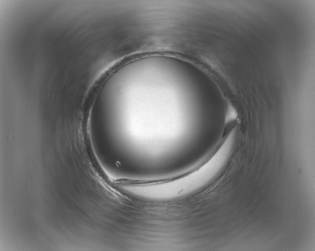 X0000065961452200603061138