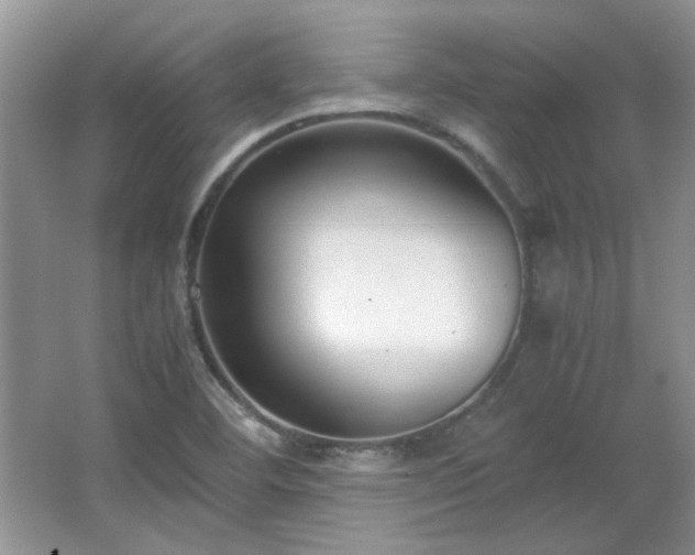 X0000065961460200603061138