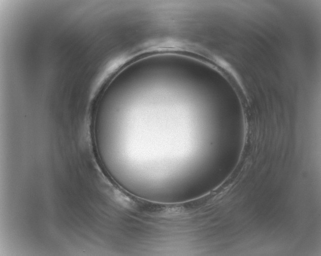 X0000065961464200603061138