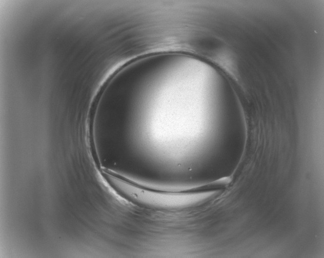 X0000065961468200603061138