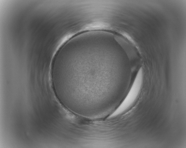X0000065961469200603061138