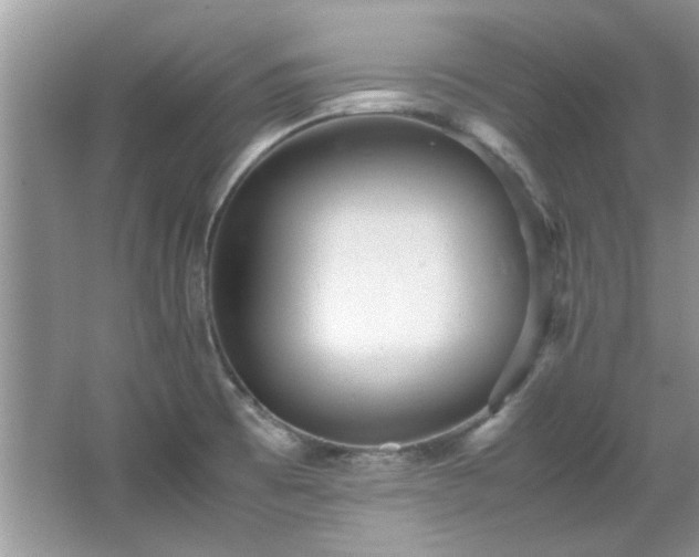 X0000065961473200603061137