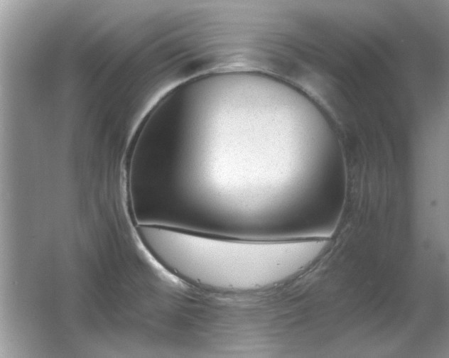 X0000065961476200603061137