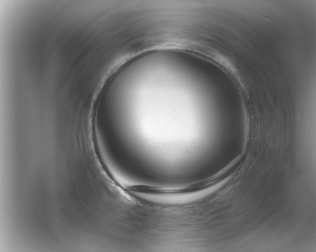 X0000065961480200603061137