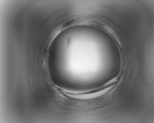 X0000065961481200603061137