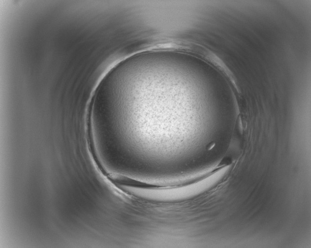 X0000065961483200603061137