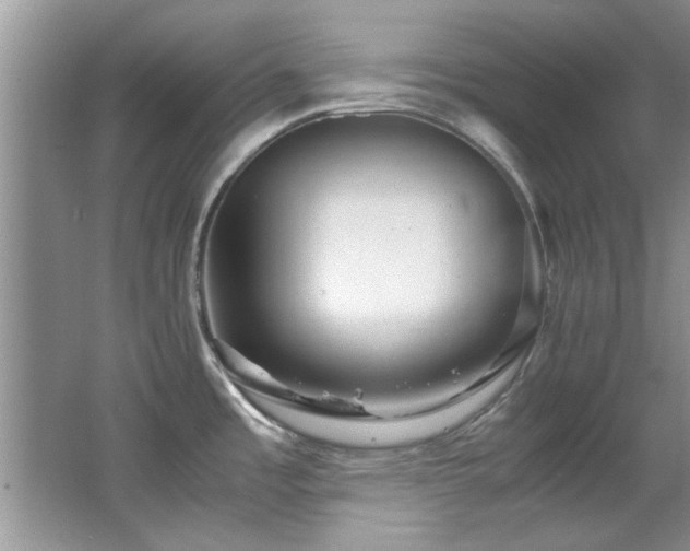 X0000065961485200603061137