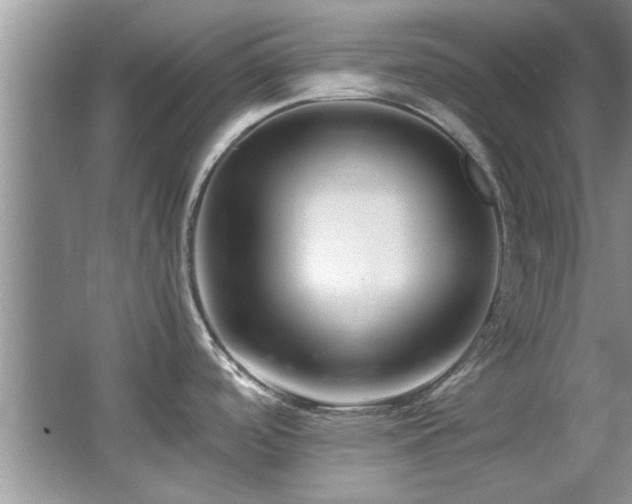 X0000065961488200603061137