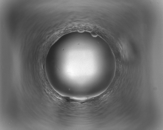 X0000065961489200603061136
