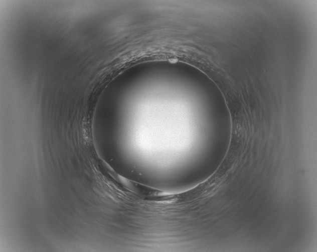 X0000065961490200603061136