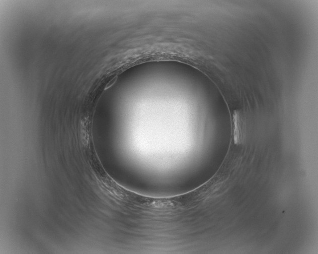 X0000065961491200603061136