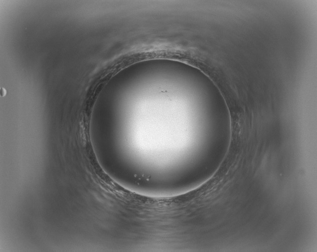 X0000065961493200603061136