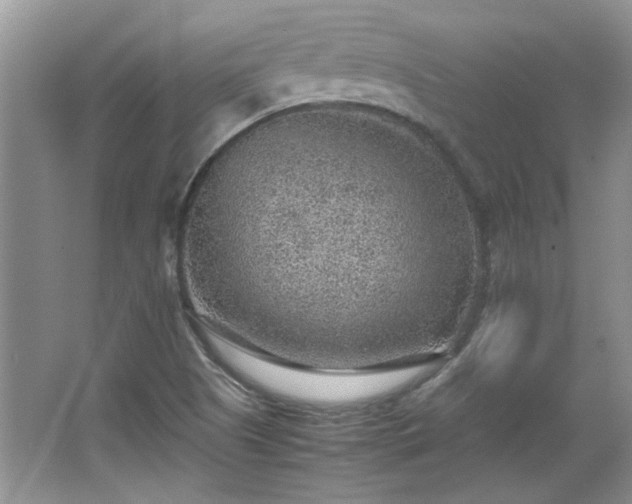 X0000065961505200603061137