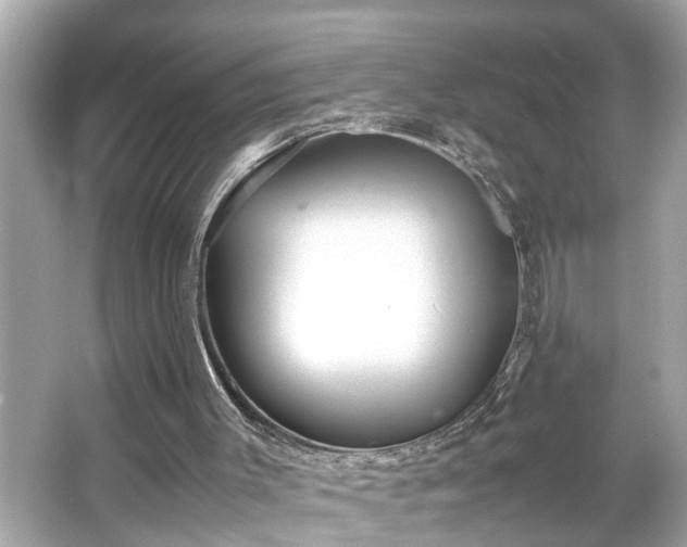 X0000065960003200603101434