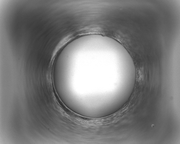 X0000065960004200603101434