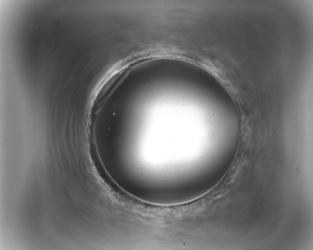 X0000065960007200603101434