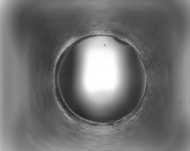 X0000065960008200603101434
