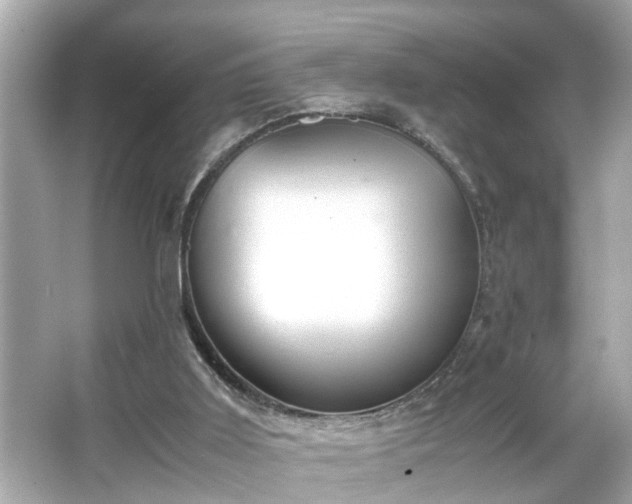 X0000065960011200603101434