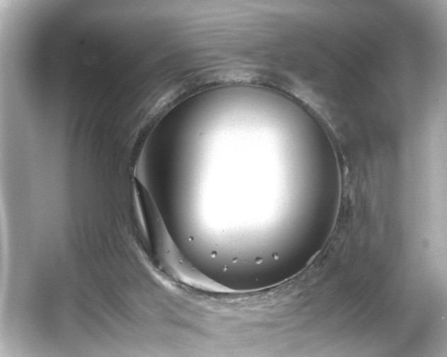 X0000065960013200603101434