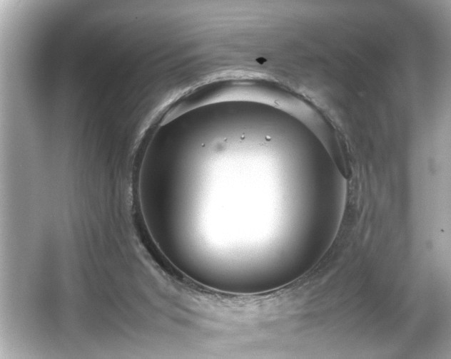 X0000065960015200603101434