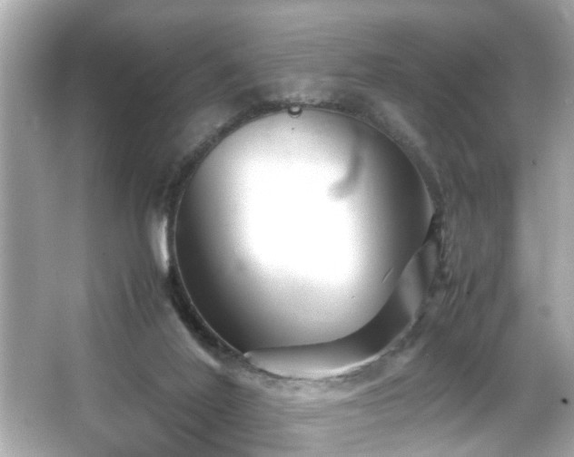 X0000065960020200603101434