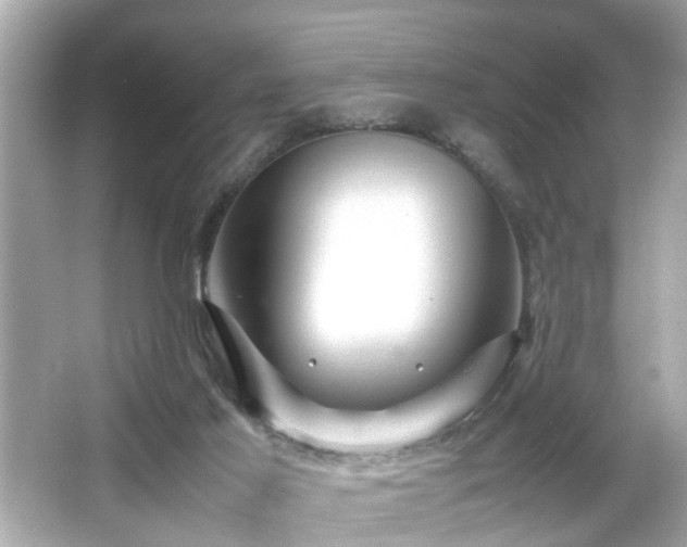 X0000065960021200603101434