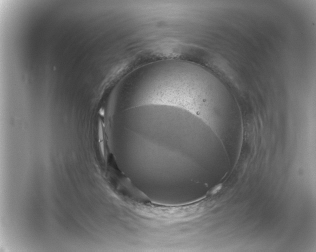 X0000065960023200603101434