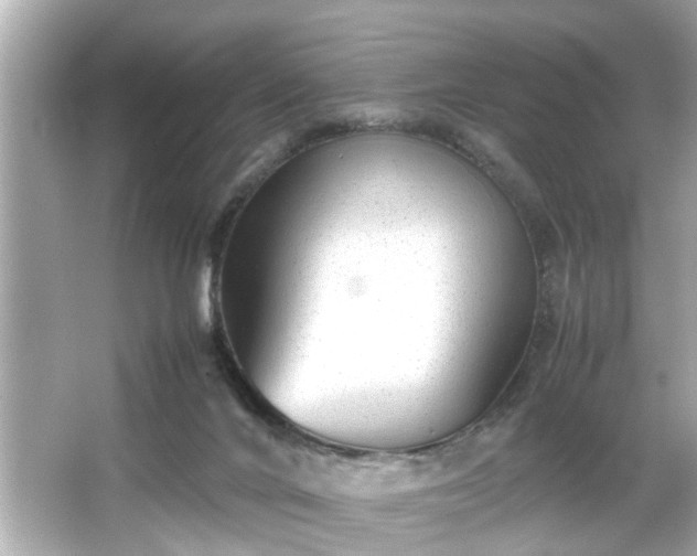X0000065960024200603101434