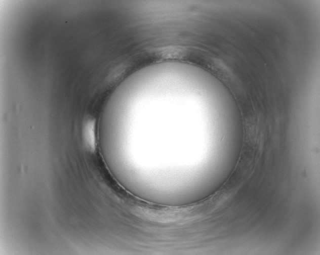 X0000065960028200603101434