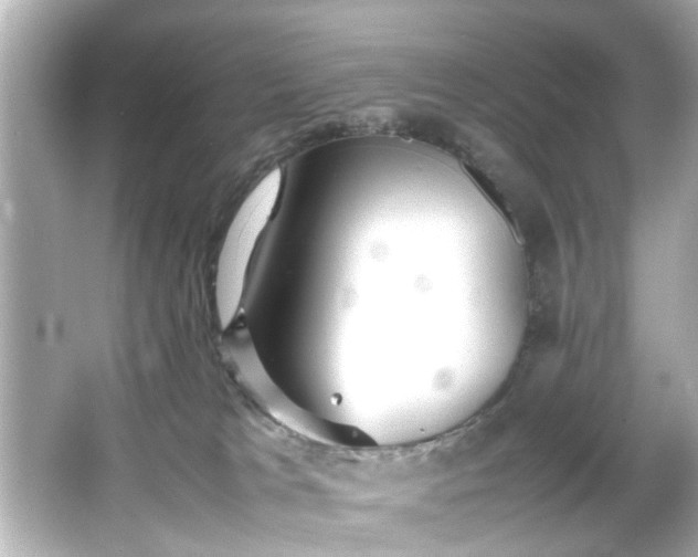 X0000065960037200603101433