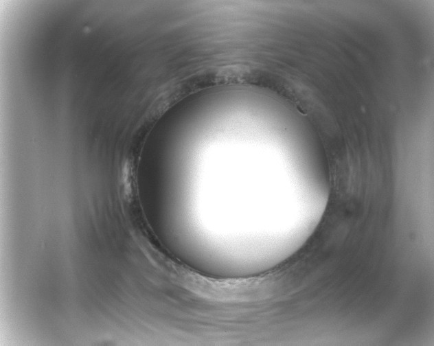 X0000065960038200603101433