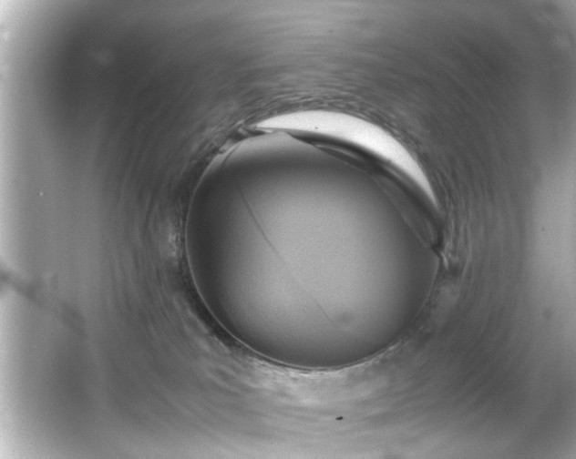 X0000065960039200603101433