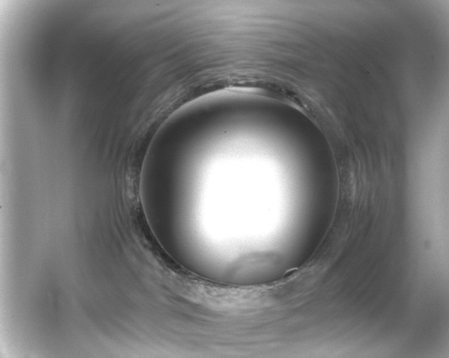 X0000065960044200603101433
